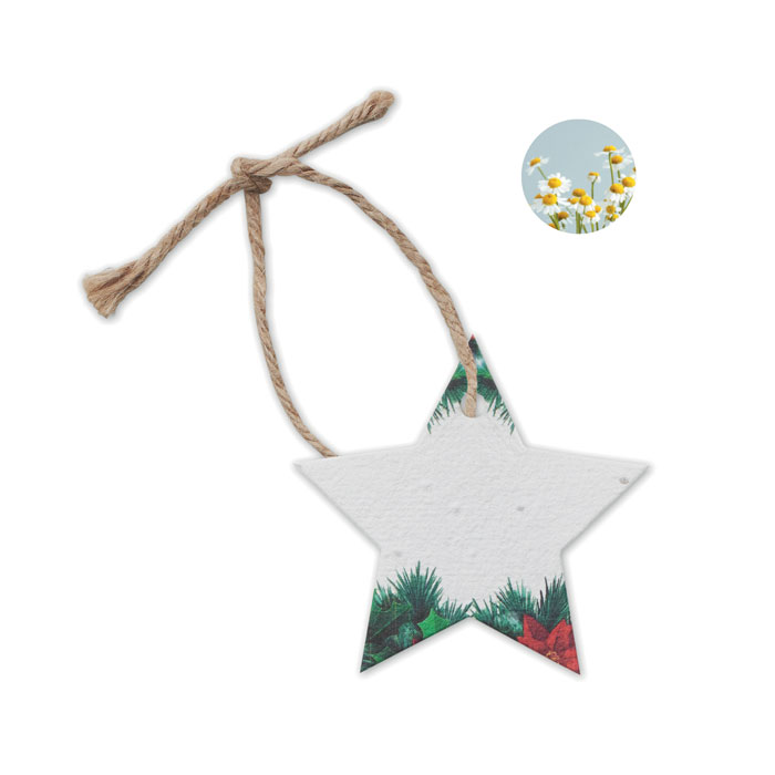 Seed paper star ornament - Image 3